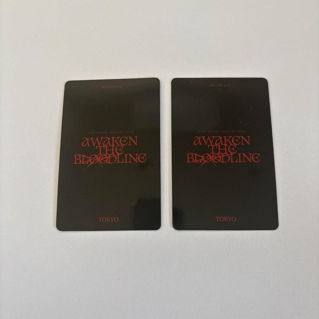 &TEAM 月狼　開催記念ラキドロ　NICHOLAS ニコラス　有明東京　トレカ