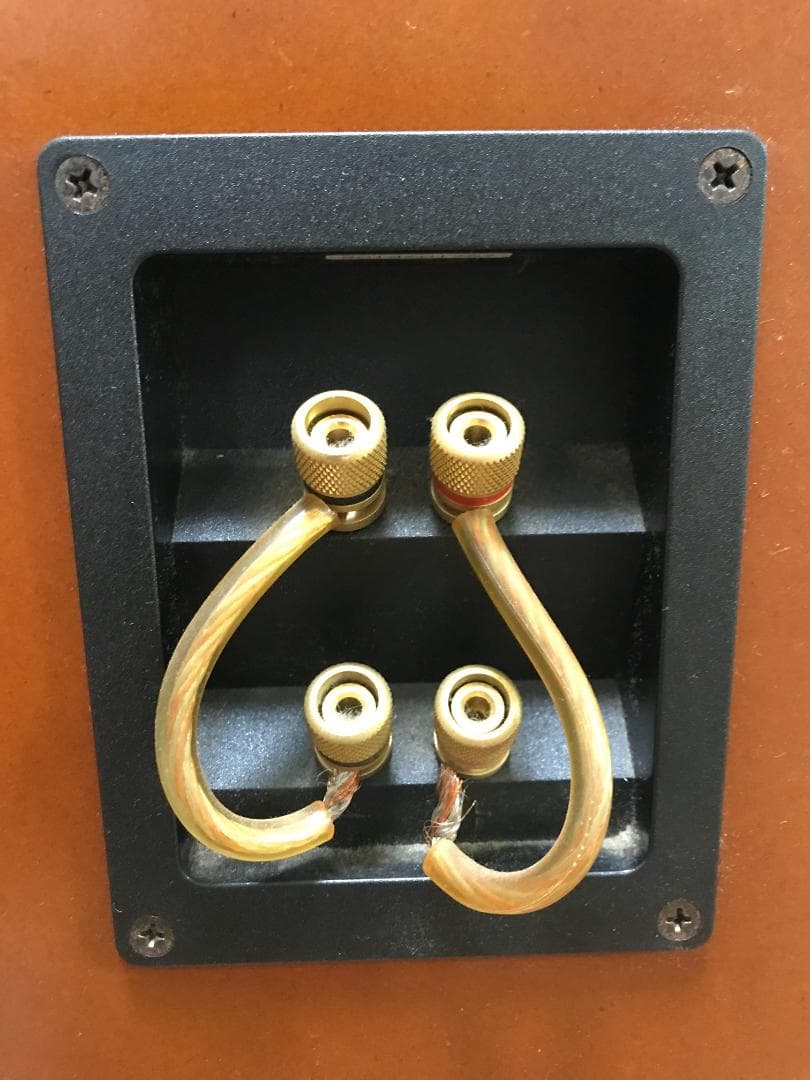 DENON SC-T55SG トールボーイ型スピーカー M108【2】