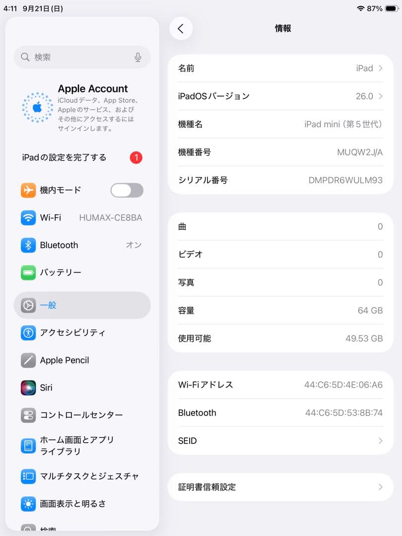 iPad本体 iPad mini5 64GB