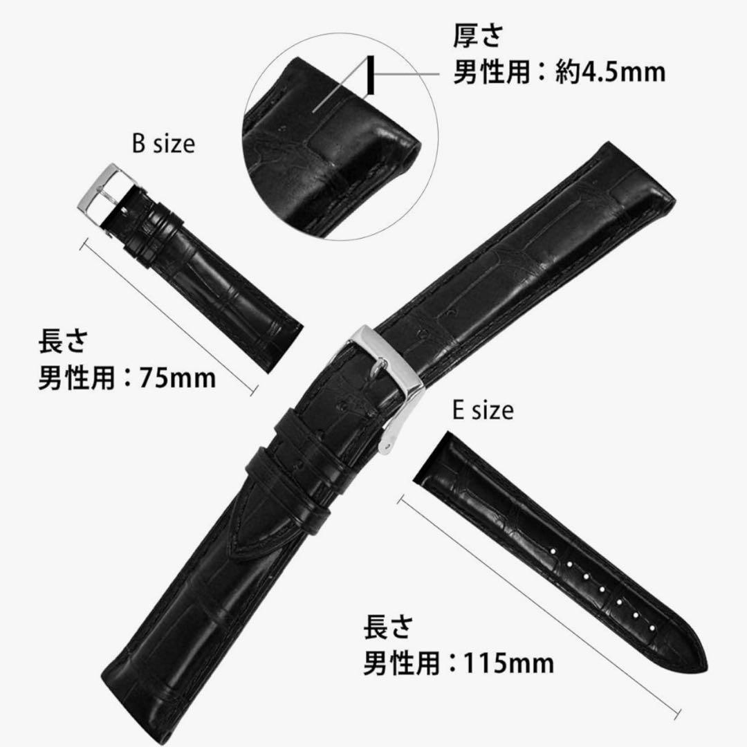 CASSIS ワニ革　時計バンド 裏面防水 19mm