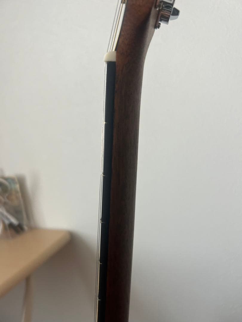 【掲載: 今月末まで！】Martin & Co. アコースティックギター