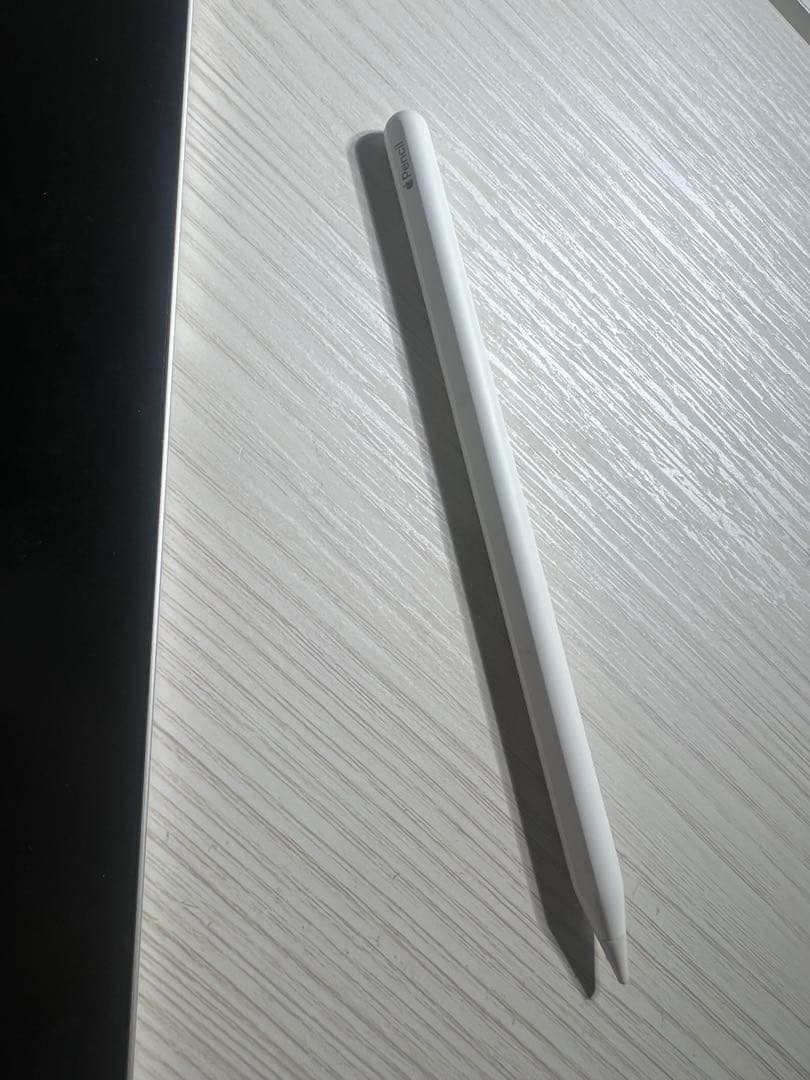 iPad Pro (11インチ)(第2世代) Apple pencil、ケース付
