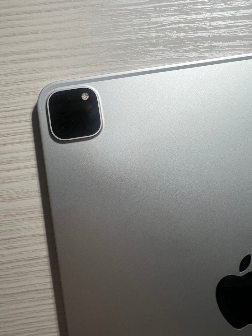 iPad Pro (11インチ)(第2世代) Apple pencil、ケース付