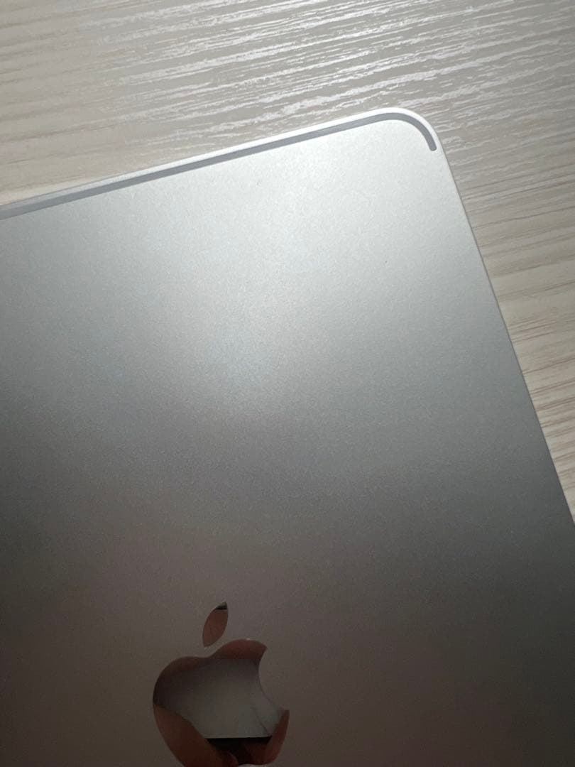 iPad Pro (11インチ)(第2世代) Apple pencil、ケース付