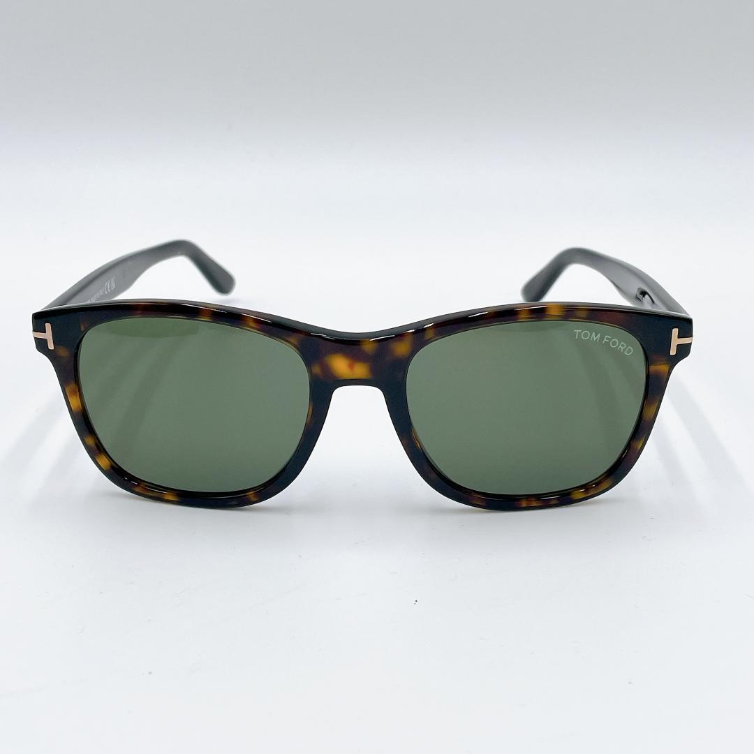 TOM FORD Eric TF595 サングラス ウェリントン　べっ甲m531