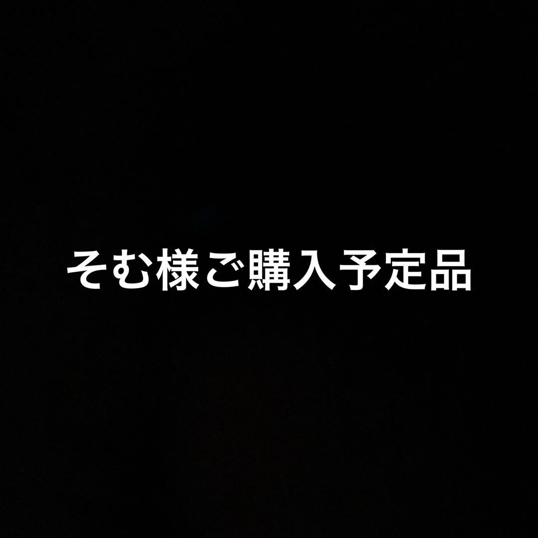 そむ様ご購入予定品