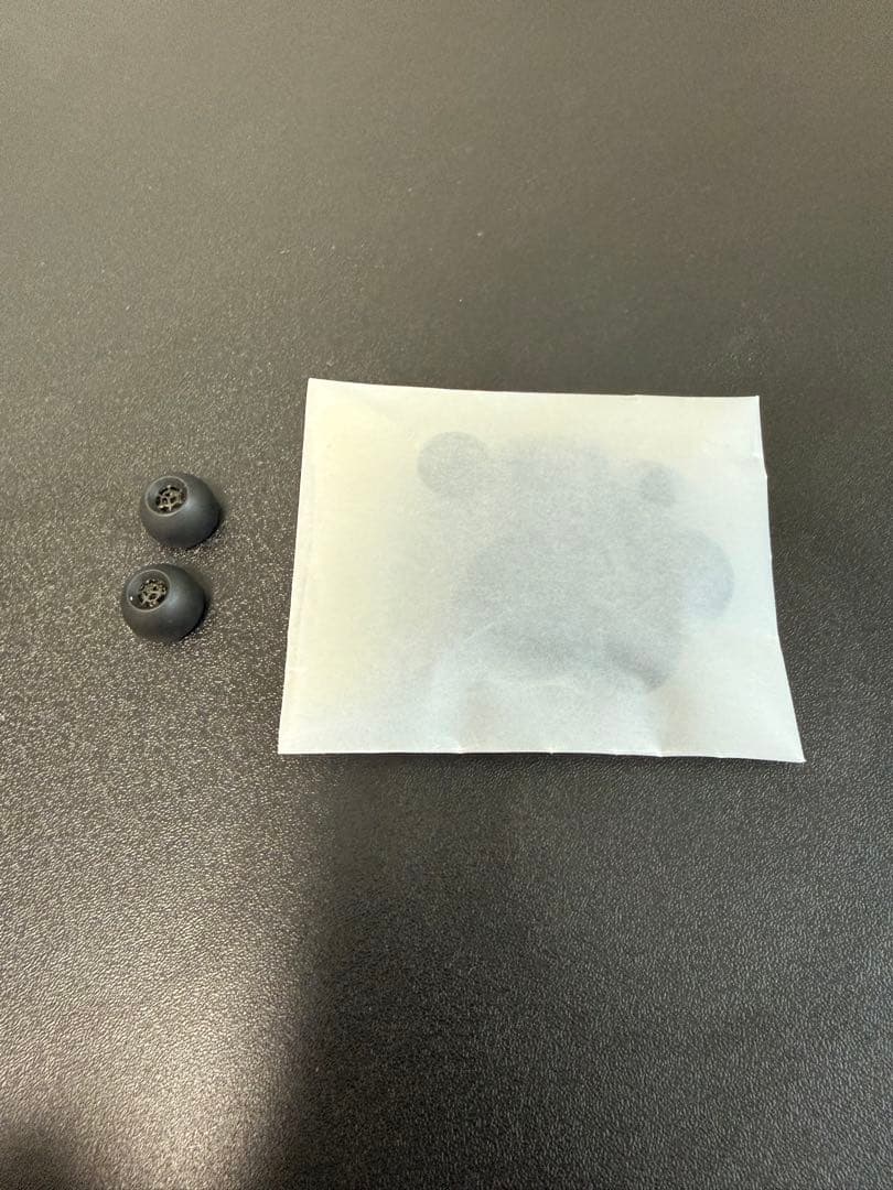 イヤホン SENNHEISER IE300