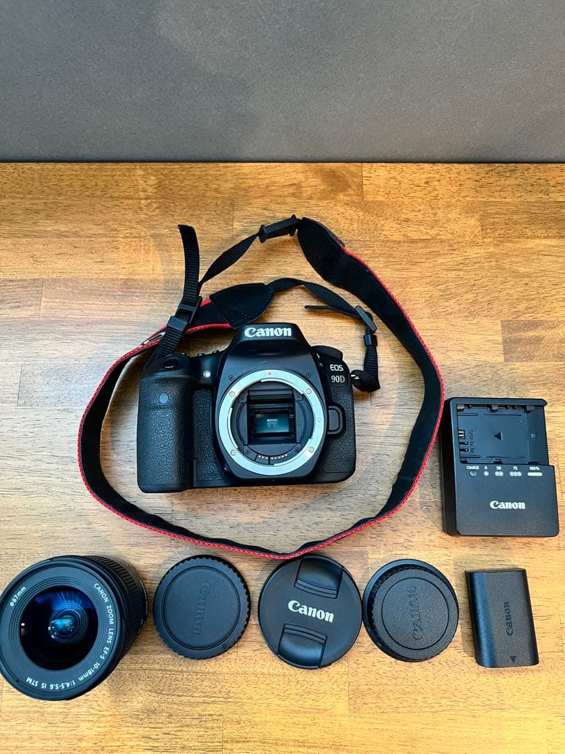 Canon EOS 90D + EF-S 10-18mmレンズセット