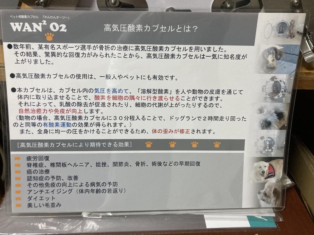 ペット(小動物)用酸素カプセル