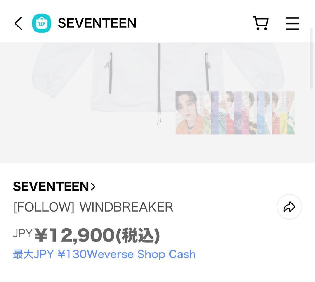 SEVENTEEN [FOLLOW] WINDBREAKERトレカ11枚