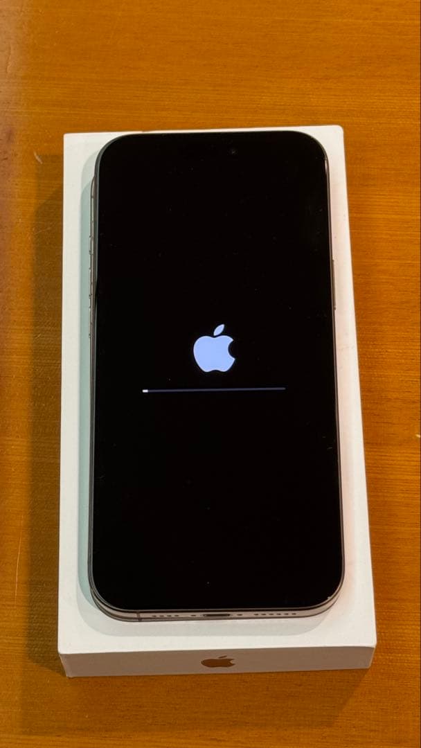 Apple iPhone 16 Pro Max 1TB 本体 充電ケーブル付き