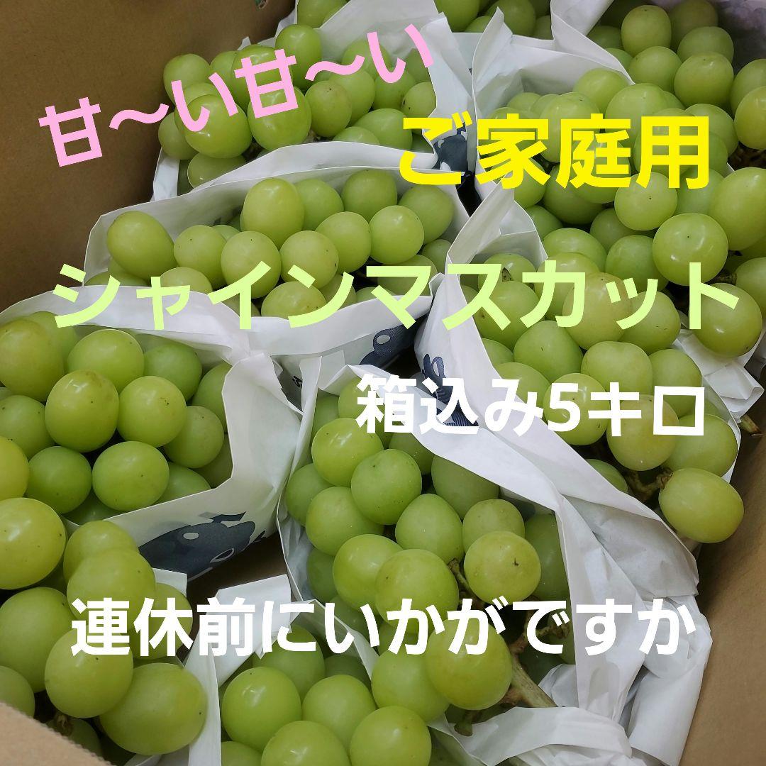 4️⃣ 山梨県産 激甘シャインマスカット１０房入り 込み５キロ