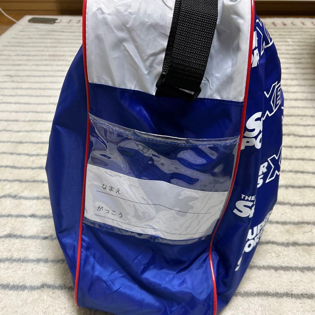 Nordica Cruise SL スキーブーツ　26-26.5 ケース付