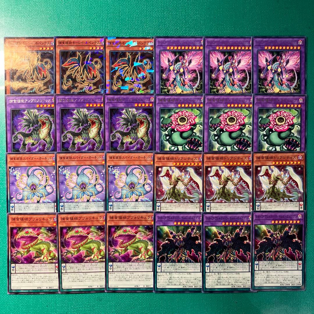 遊戯王 プレデタープランツセット④