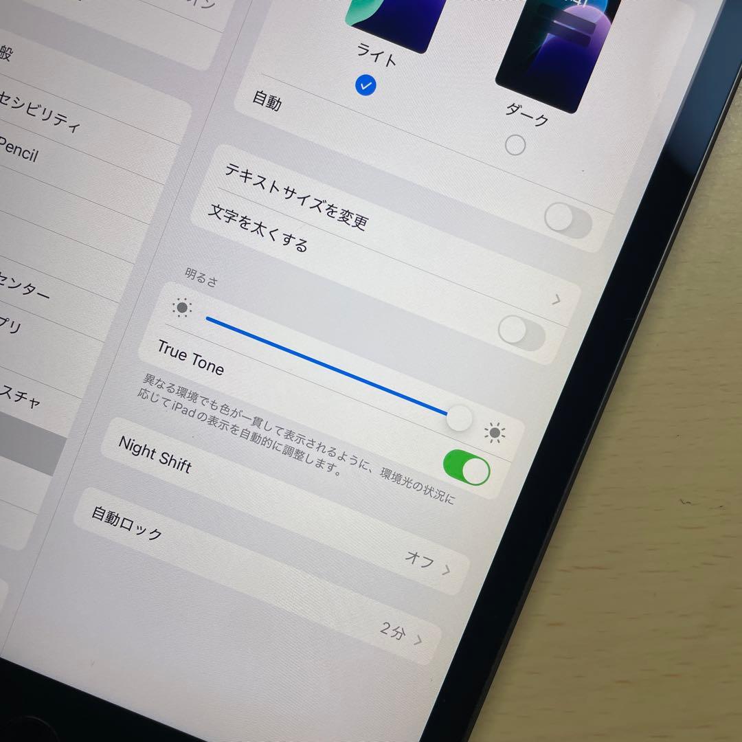 iPad mini5 第５世代　256GB Wi-Fi 割れなし