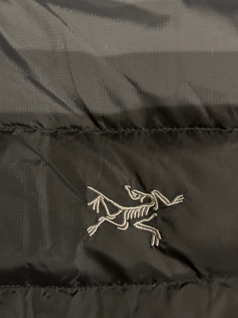 Arc'teryxソリウム ダウンジャケット