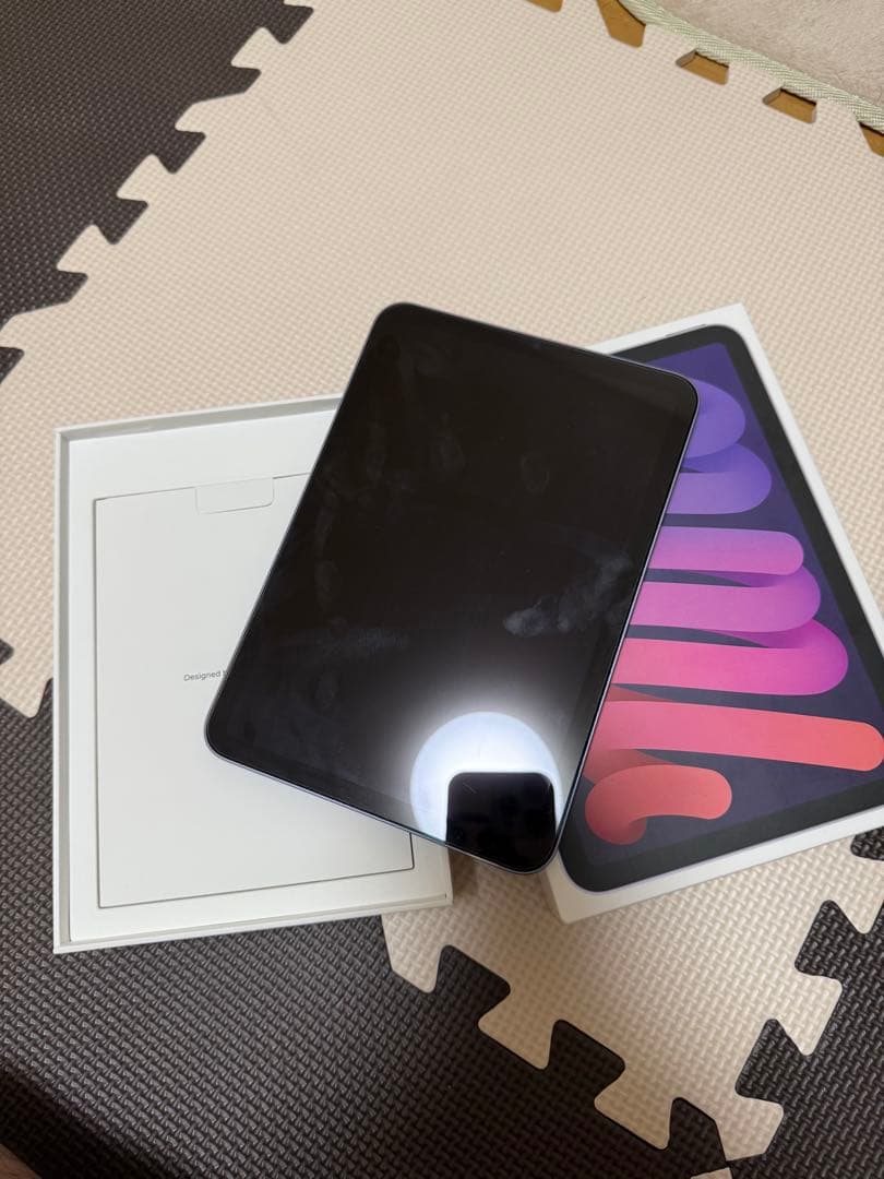 iPad mini 6 64Gb ジャンク