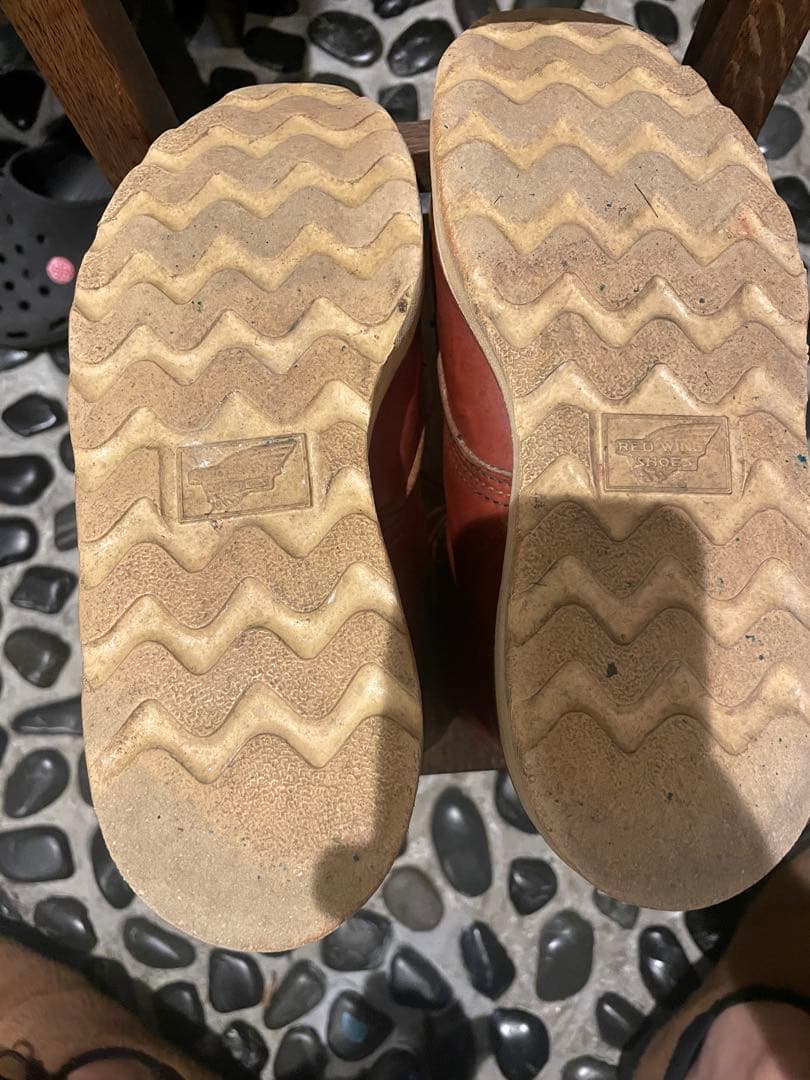 レッドウイング　アイリッシュセッター　23.5センチ