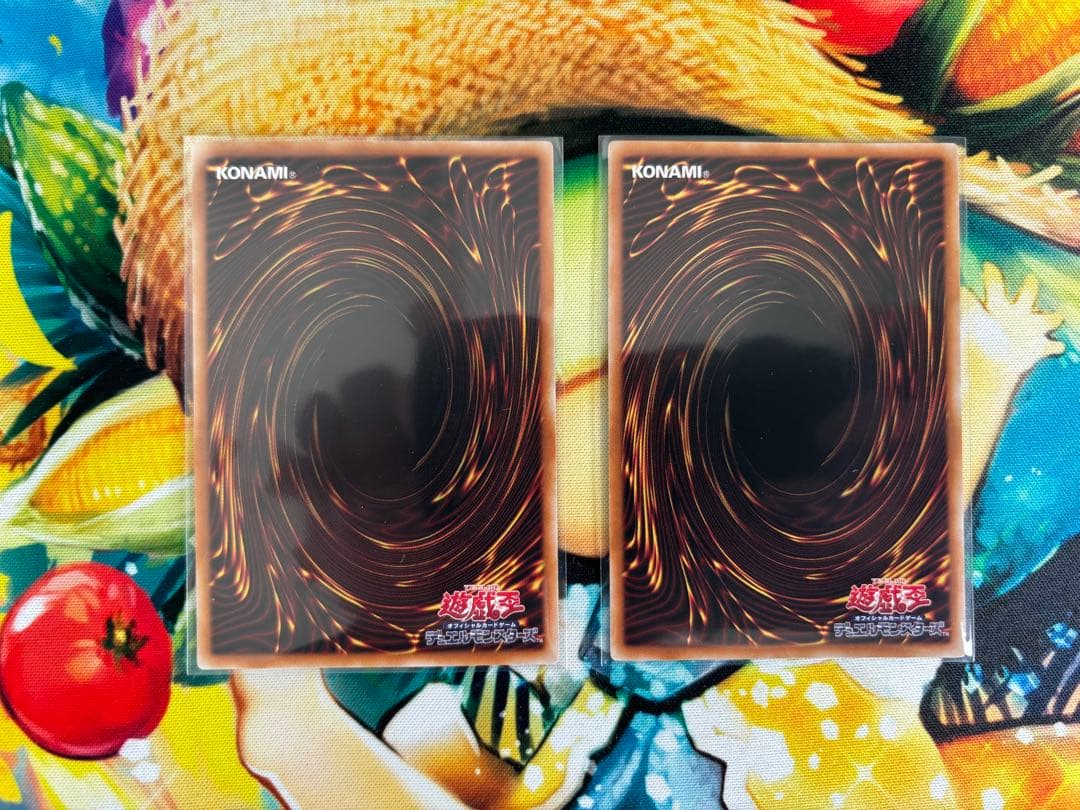 【バラ売り不可】大輪の霊使い 大輪の魔導書 プリシク