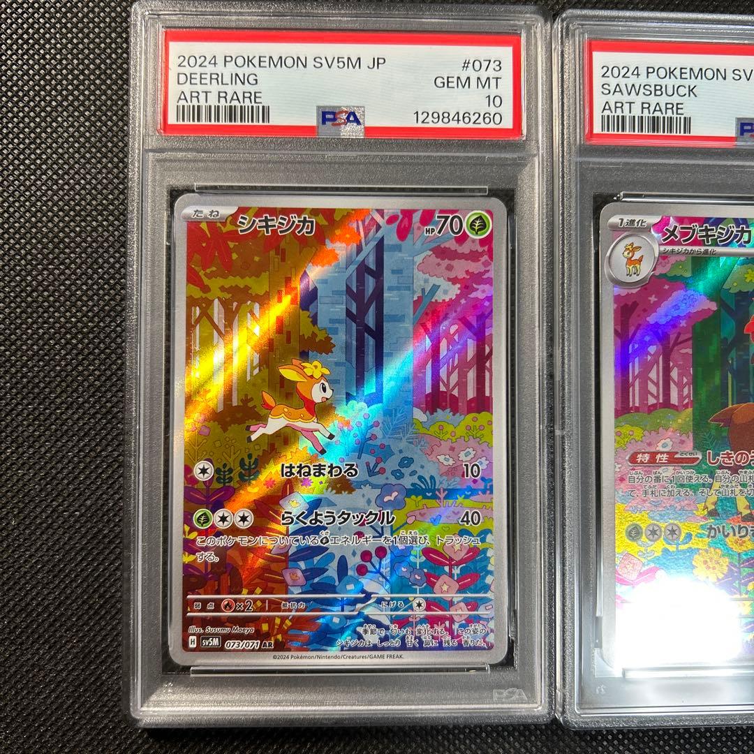 シキジカ　メブキジカ　AR PSA10 連番