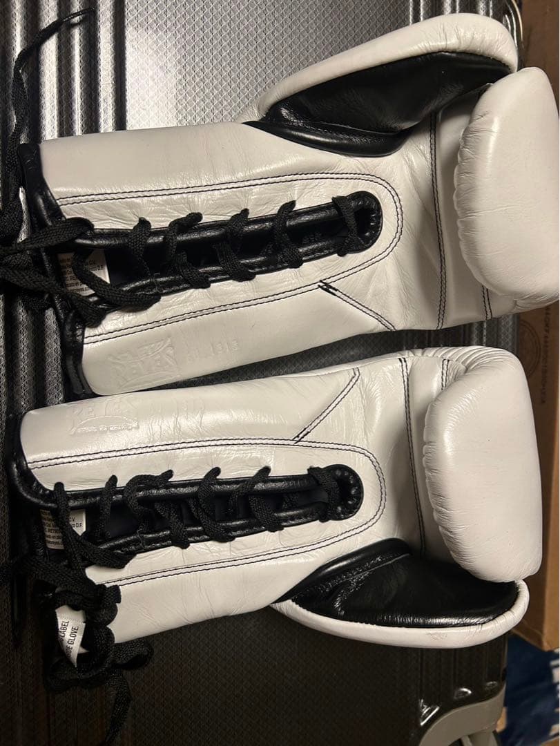 レイジェス(reyer) プロ・アマトレーニング用