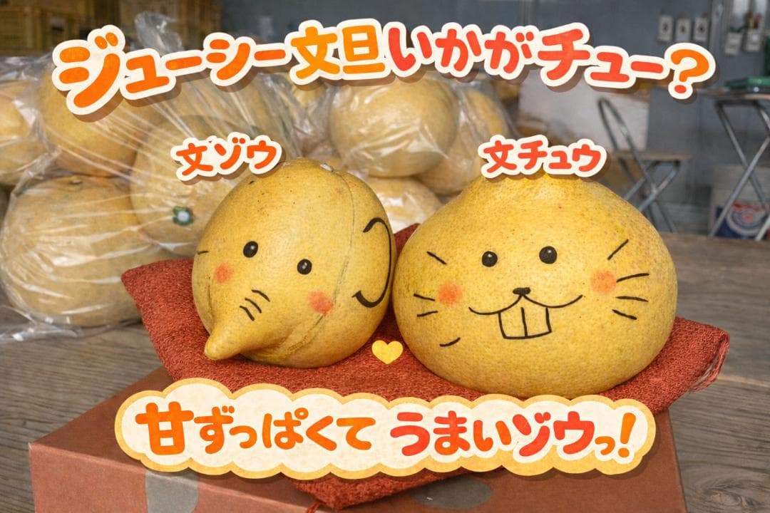 【御予約品】となみバチ　土佐文旦　約20kg　2Lサイズ