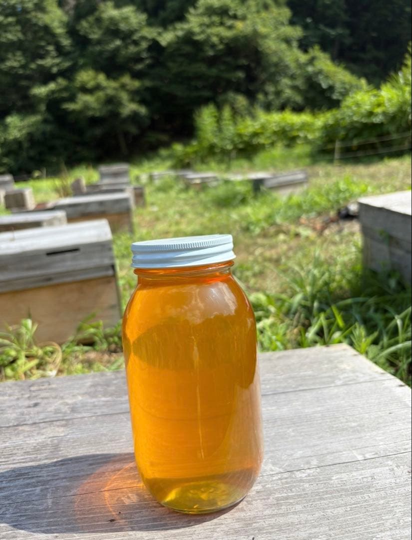 長野県長野市若穂保科で採れたはちみつ 1200g 2本 No.54 結晶化値下げ