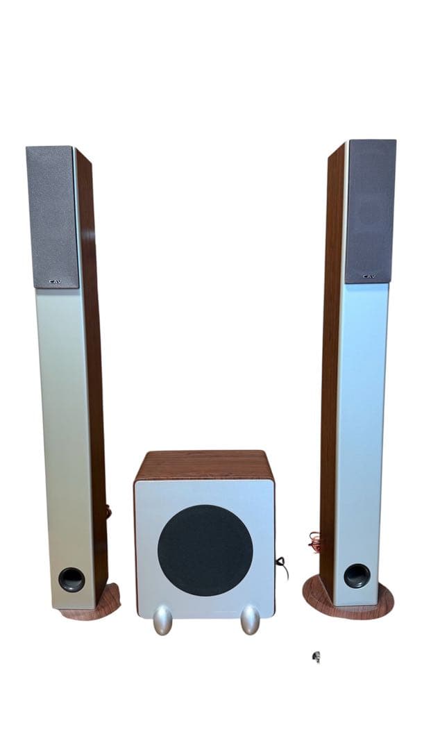 引き取り超破格！DP10 ウーハー SW256 CAV とトールボーイスピーカー