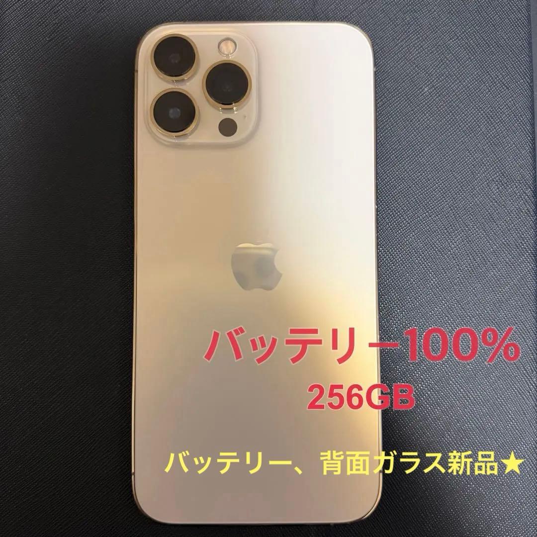 【バッテリー100% 背面ガラス新品】iPhone13ProMax 256GB