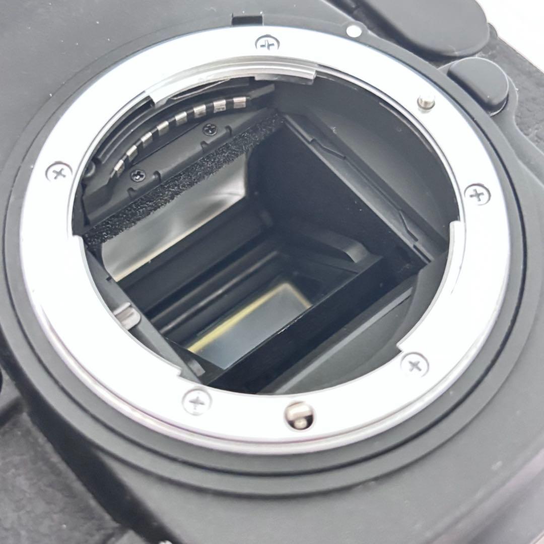 ■ ニコン D300 Nikkor 18-200 1:3.5-5.6 G ED