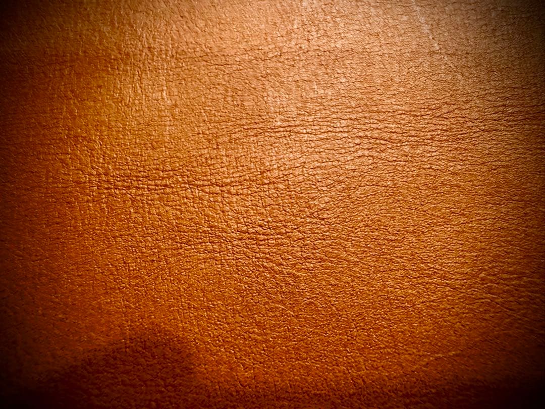 Pvt.Workshop 極 本革 デッキケース キャメル