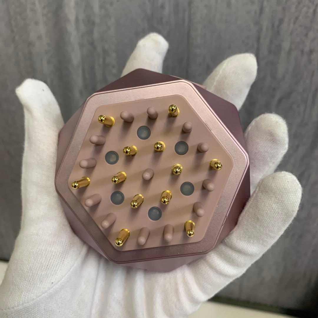 m052319m ルルドポーテ EMSリフトブラシ AX-NBL506 ピンク