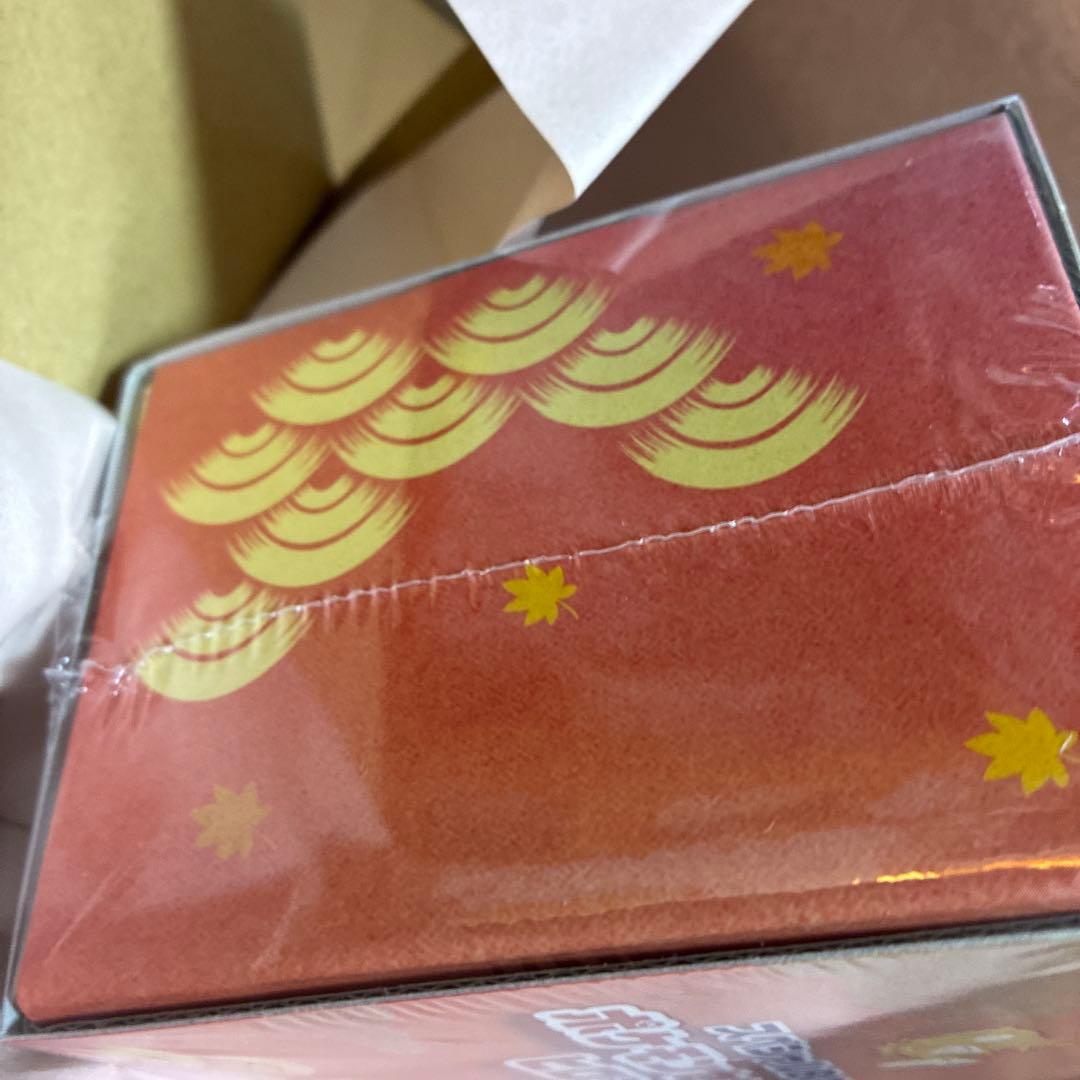 ✨ポケモンセンター スペシャルBOX ヒロシマ　再販当選品　シュリンクつき