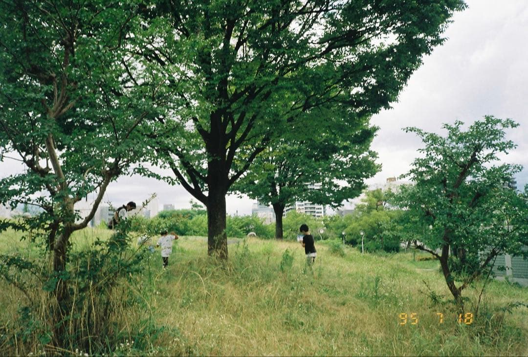 【動作確認済】Konica TOMATO AUTO DATE 実働品　作例あり