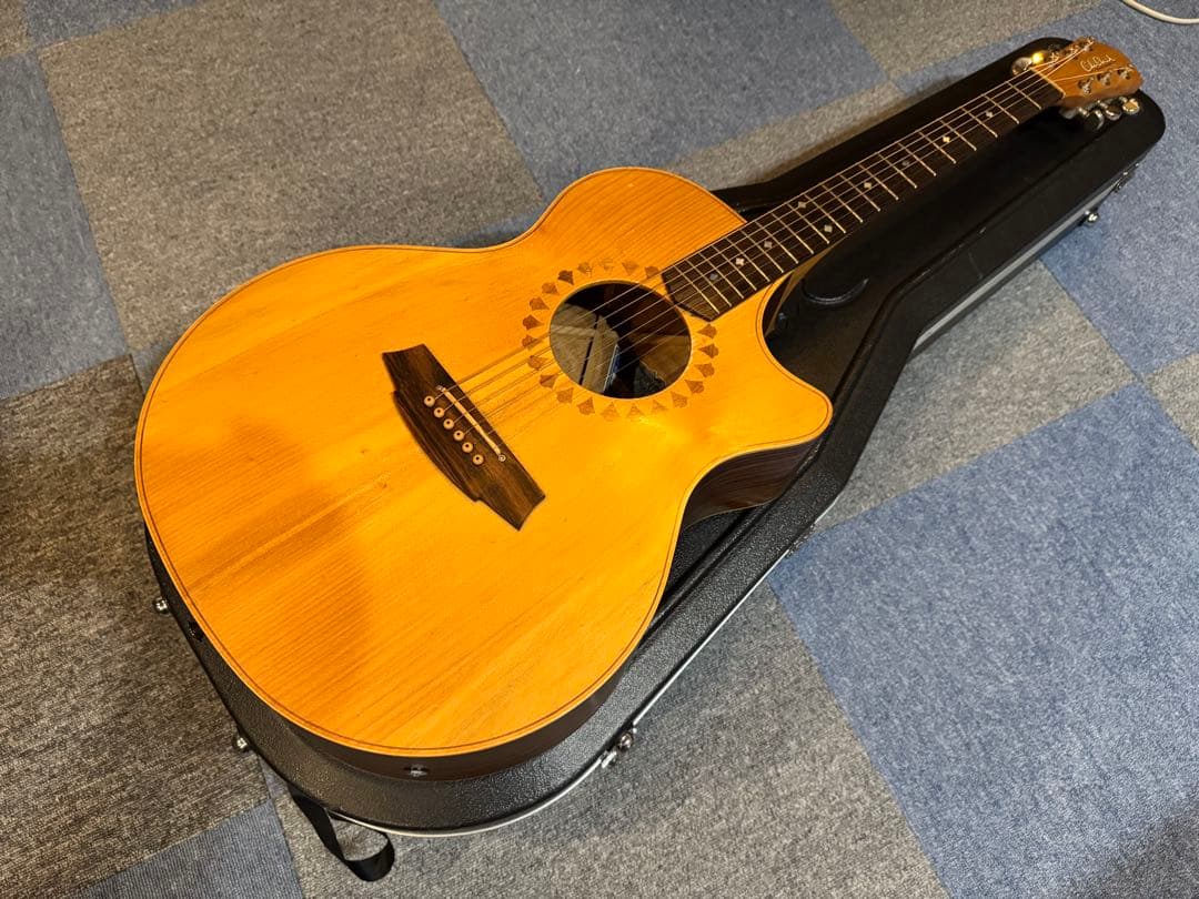 ★Cole Clark AN2AC★