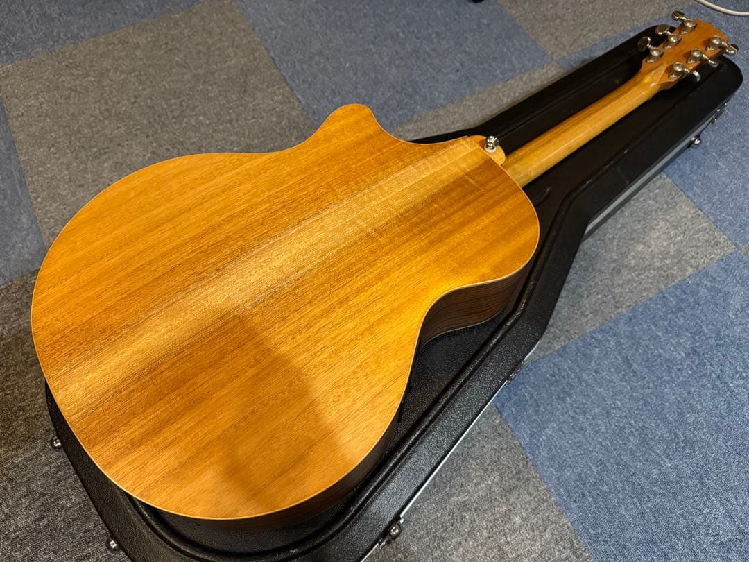 ★Cole Clark AN2AC★