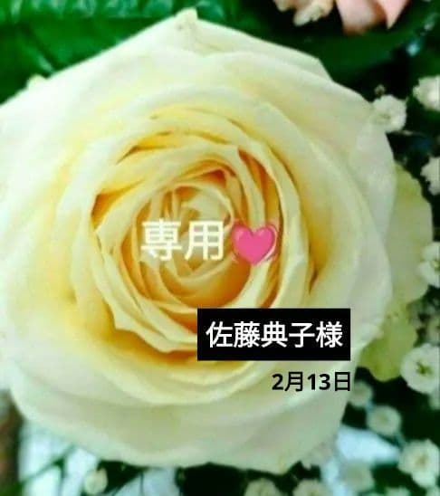 【❤佐藤典子様ご依頼商品❤】⭐️おまとめ化粧品⭐️