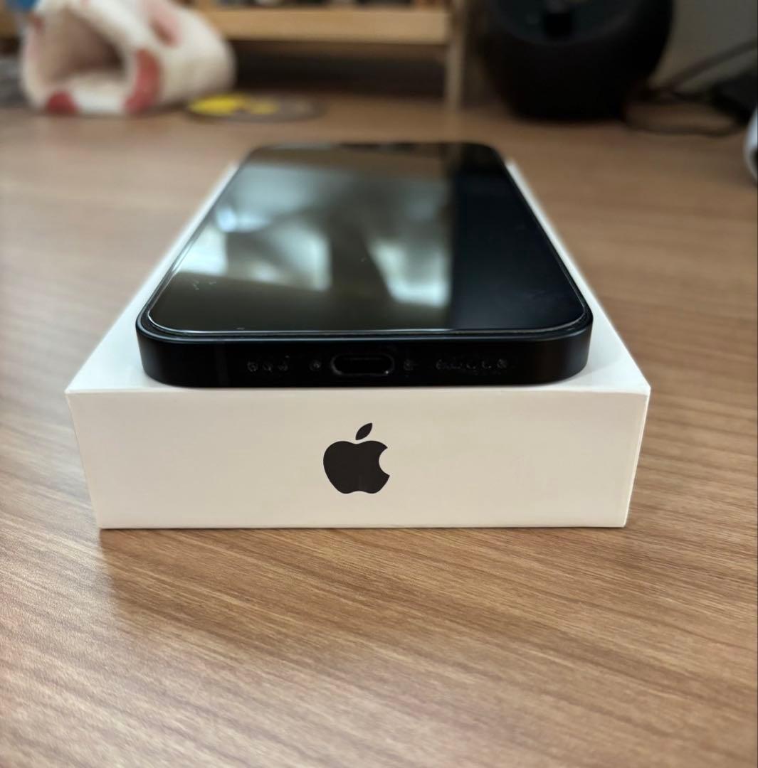 値下げ不可 Apple iPhone16e 128GB ブラック 100%