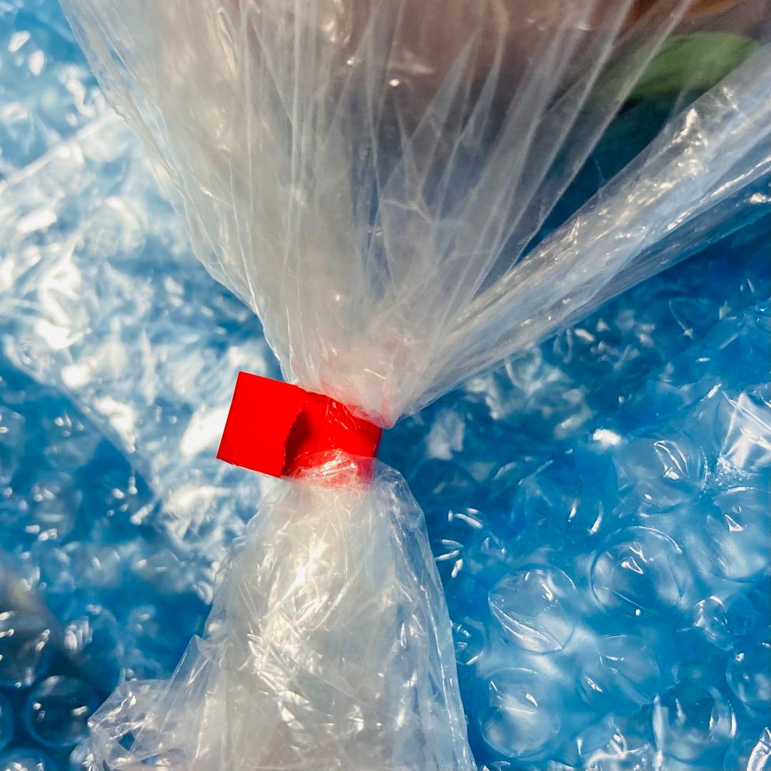 三矢 美容師実技試験用 標準仕様適合 モデルウィッグ 24-12-13 4セット