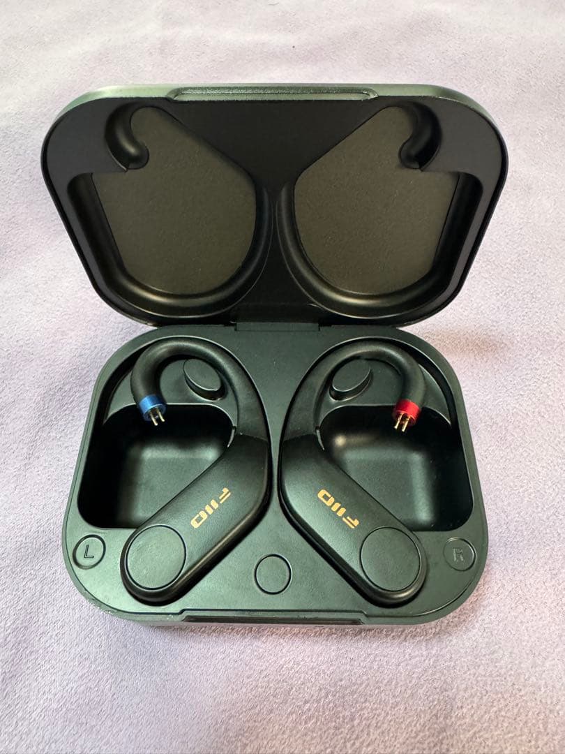 FIO UTWS5 2025 2PIN(2ピン)