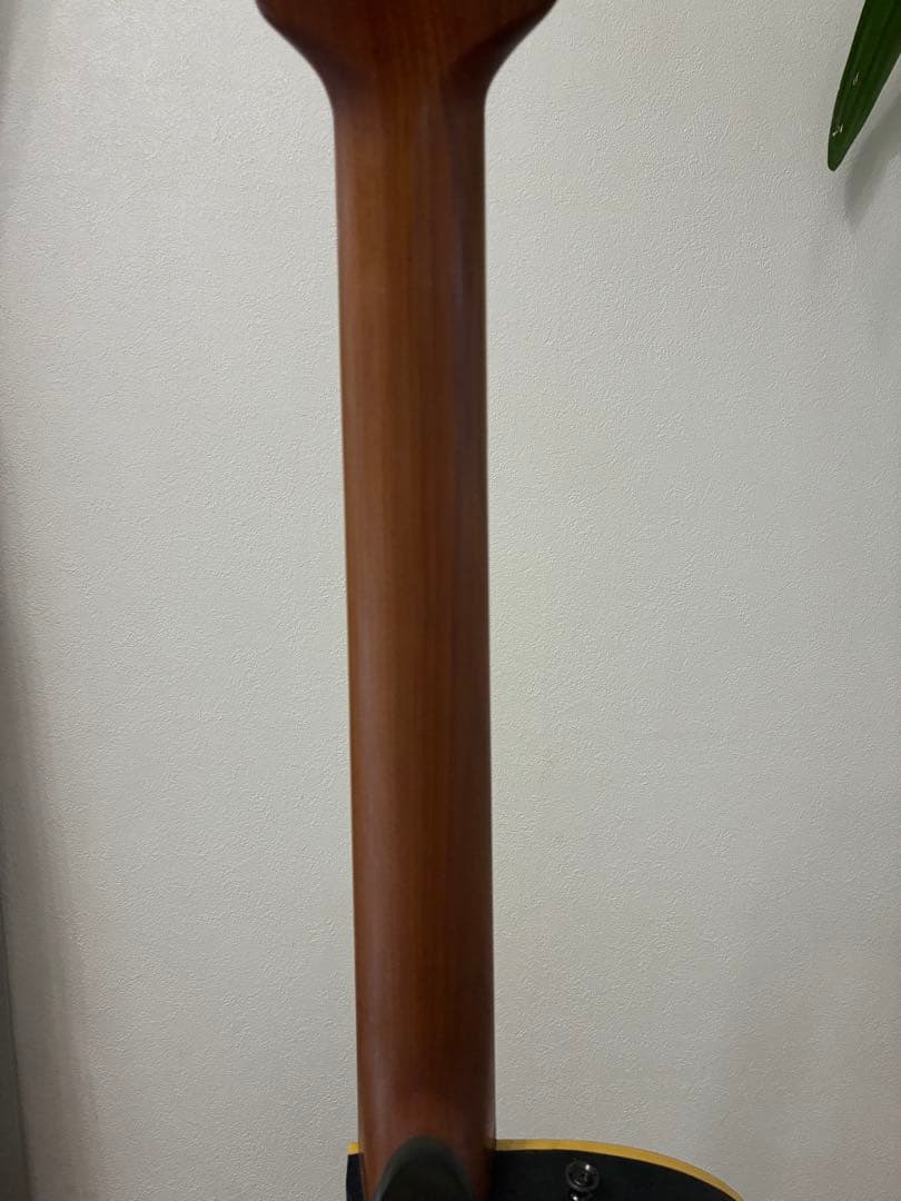 鯖*滝様 applause by ovation