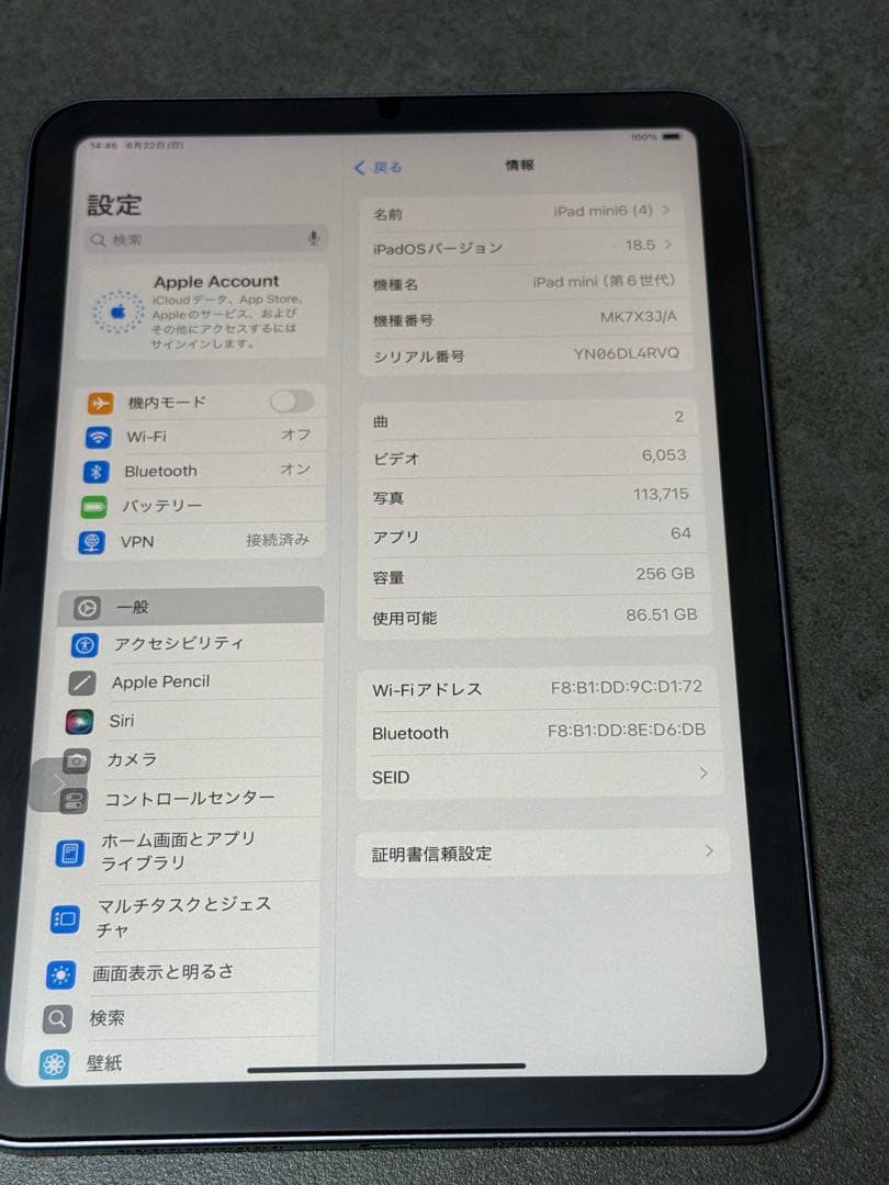 iPadアクセサリー iPad mini6 256GBWi-Fi Apple Pencil