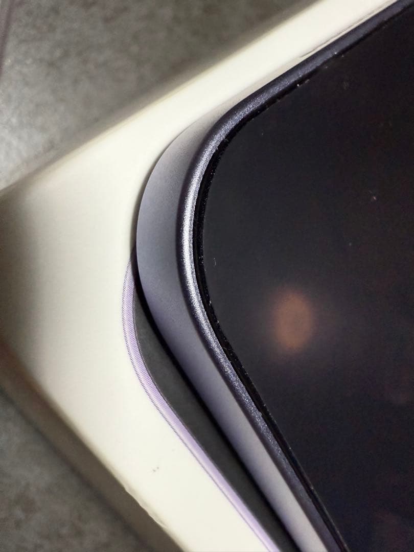 iPadアクセサリー iPad mini6 256GBWi-Fi Apple Pencil