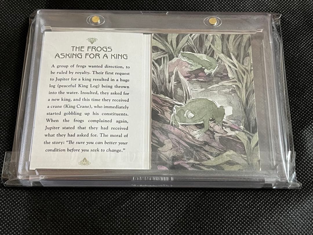 Lydi Li スケッチカード Goodwin Champions sketch