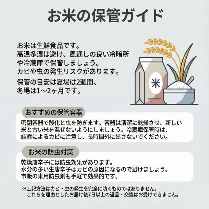 米屋直送 令和7年産 しっかり粒感オリジナルブレンド 白米 10kg 未検査米