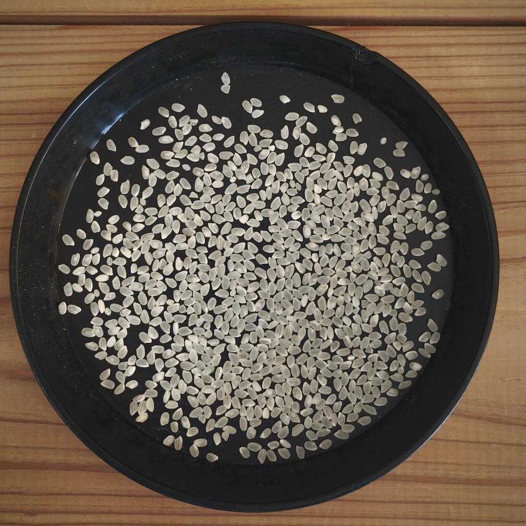 米屋直送 令和7年産 しっかり粒感オリジナルブレンド 白米 10kg 未検査米