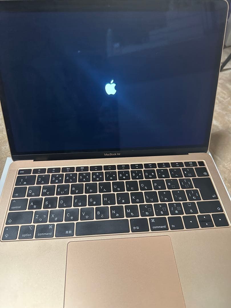 Apple MacBook Air ゴールド 13インチ 256GB 2019