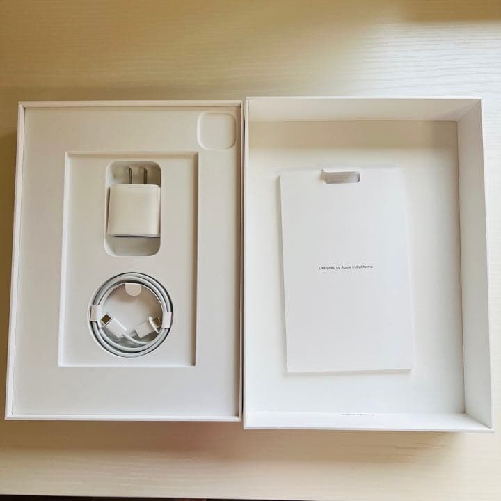 Apple iPad Pro 11インチ 第2世代 256GB Wi-Fi