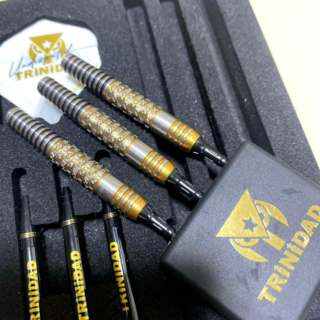 TRINIDAD Ricardo α 浅田斉吾　モデル　中古　送料込み