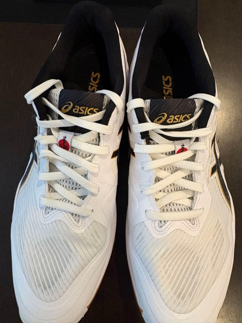 asics バレーボールシューズ ローテJPL3 WB 26センチ